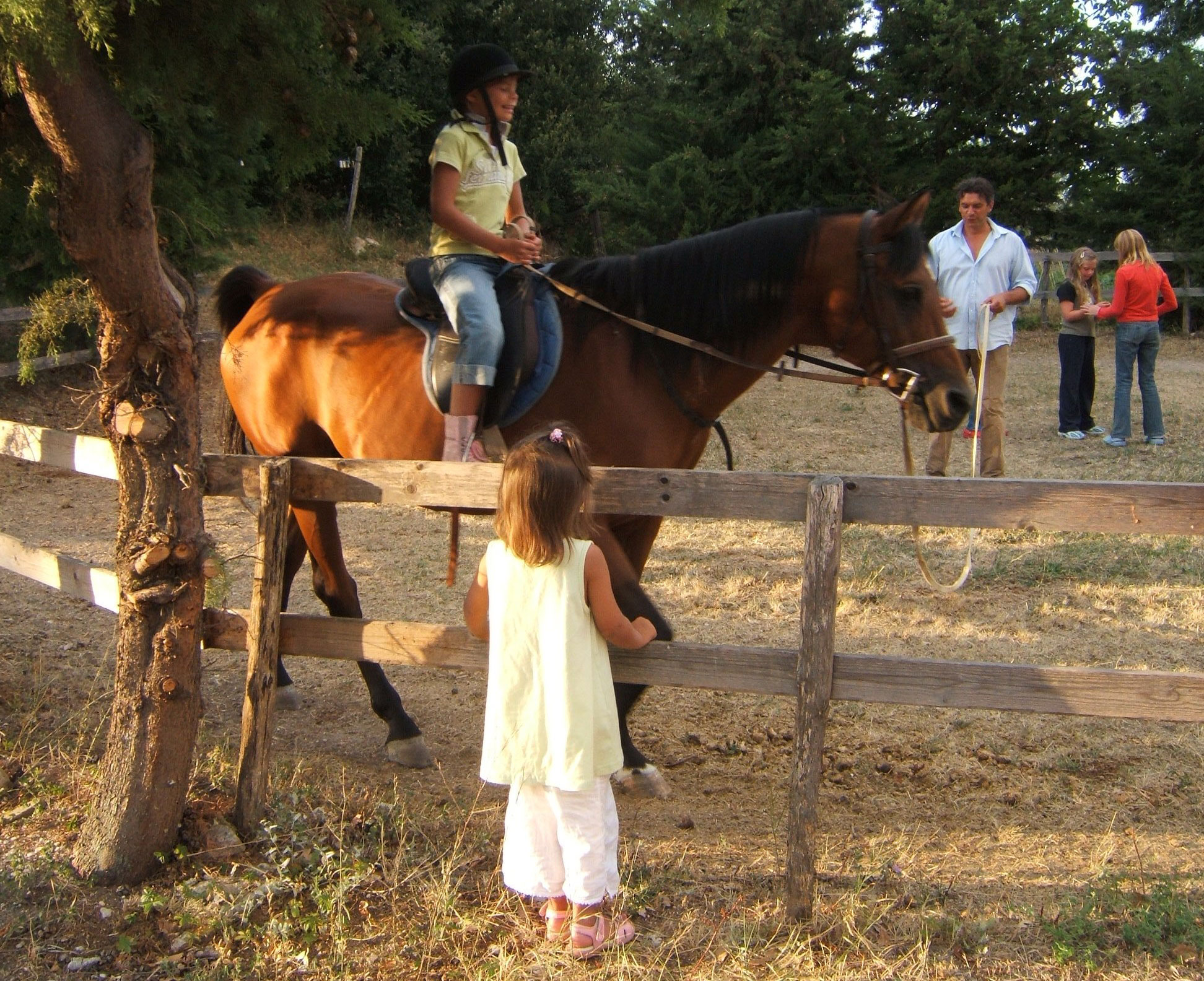 Horse back riding for kids in Marche Italy
