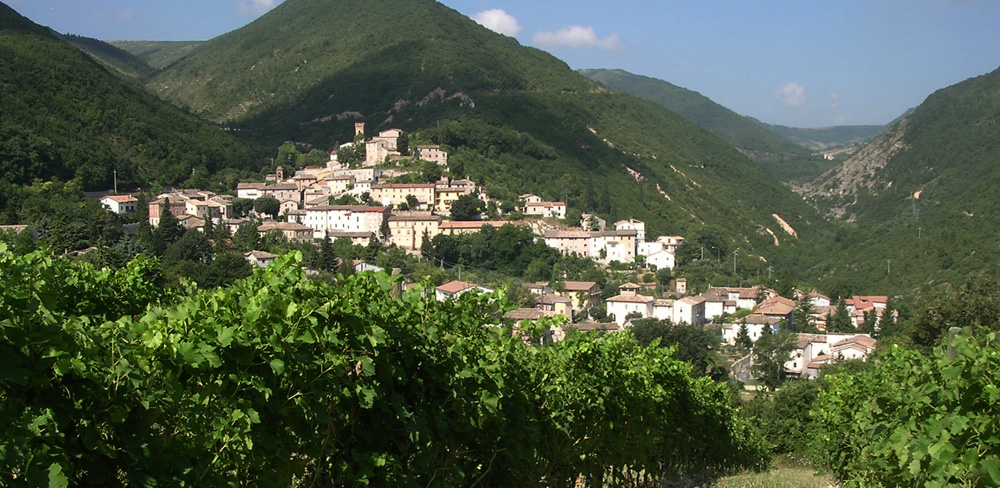 Discover le Marche and central Italy through food and local products.