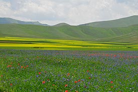 Wandelen in gebied van Marche Italie vakantiehuis
