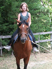 Horse riding in Marche