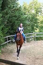 horses at Caravanserraglio Marche Italy
