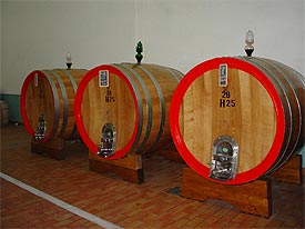 wine courses in Marche, Italy