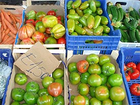 Italiaanse tomaten van markt vlakbij vakantiehuis Marche