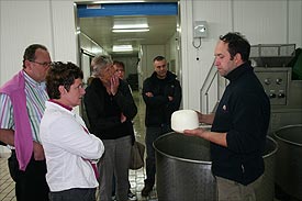 Marche Pecorino cheeses, Italy Belforte del Chienti Cheesemakers, Marche Italy