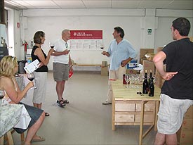first class wine tastings Marche first class wine tastings in Italy