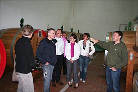 Wine holidays in Italy wine lessons in Marche