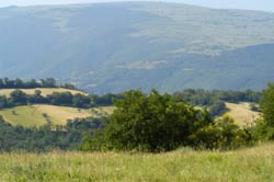 Genieten van de overweldigende schoonheid van het natuurpark