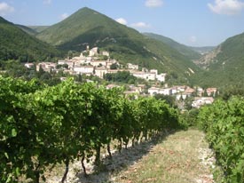 Wandelen naar het dichtsbijzijnde dorp Serrapetrona vanaf de Marche Italie vakantiehuizen