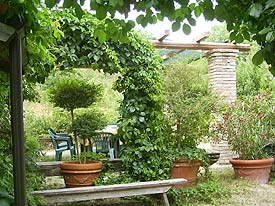 Eigen Italiaanse tuin Marche vakantie