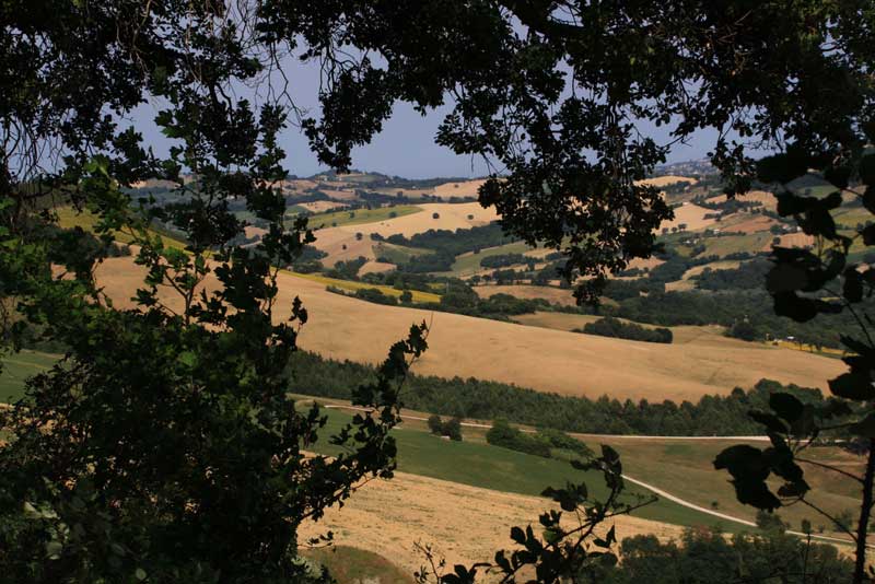 beautiful rural view in Marche Italy