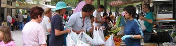 visit to local market in Marche Italy visit to local market in Marche