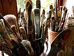 Kunstworkshops in Italie kunstexcursies, Tour Italie