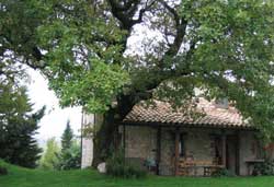 Per vedere ulteriori fotografie degli interni della Casa Viaggiatori clicca qui. Casa in agriturismo nelle Marche con piscina, parco, spazi attrezzati, speciale per famiglie con bambini, casa Viaggiatori