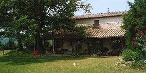 Located in Marche Italy, our rental villa and Apartments are ideal for an Italy vacation. Travel in Italy and vacation in authentic Marche farmhouse villa available for rent. Learn to cook in Italian kitchen while sipping vernaccia wine and enjoying the Marche ambience in a Italian cooking school class.