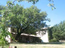 Located in Marche Italy, our rental villa and Apartments are ideal for an Italy vacation. Travel in Italy and vacation in authentic Marche farmhouse villa available for rent. Learn to cook in Italian kitchen while sipping vernaccia wine and enjoying the Marche ambience in a Italian cooking school class.