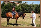 Marche Vacation - Italy Holiday