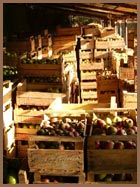 Caravanserraglio - The perfect location for your holiday in le Marche Marche Vacation - Italy Holiday