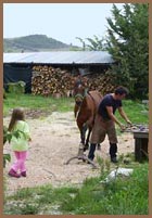 Caravanserraglio - The perfect location for your holiday in le Marche Marche Vacation - Italy Holiday