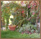 Caravanserraglio - The perfect location for your holiday in le Marche Marche Vacation - Italy Holiday