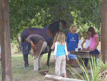 the horse get's new horse-shoes