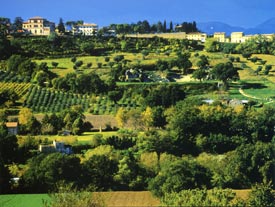 Marche Cultuurreis Italie en Italiaanse kookcursussen in Marche