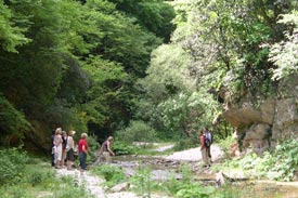 Italy Cooking Courses - Tours Italy