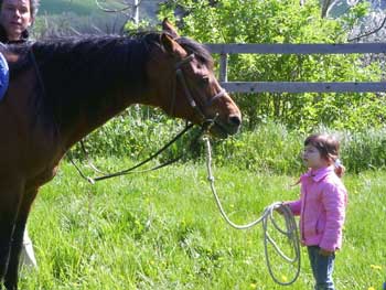 Vakantie in de natuur met paarden in Marche