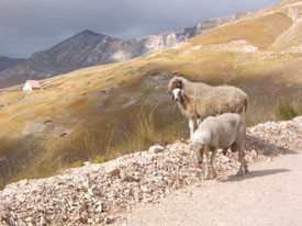Italie wandelen