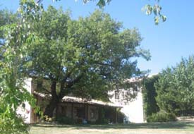 Marche Holiday Homes - Marche rentals
