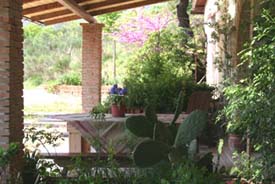 Vakantiehuis met zwembad, Marche Italie