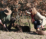 Truffle Hunting Marche Italy
