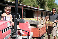 Organic Biologico Countryhouse Marche Italy