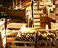 Countryhouse Organic Marche Italy