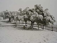 Organic Marche Countryhouse Italy