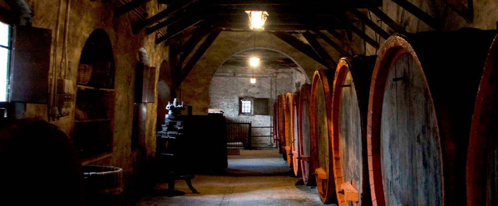 visit to local cellars in Marche Italy
