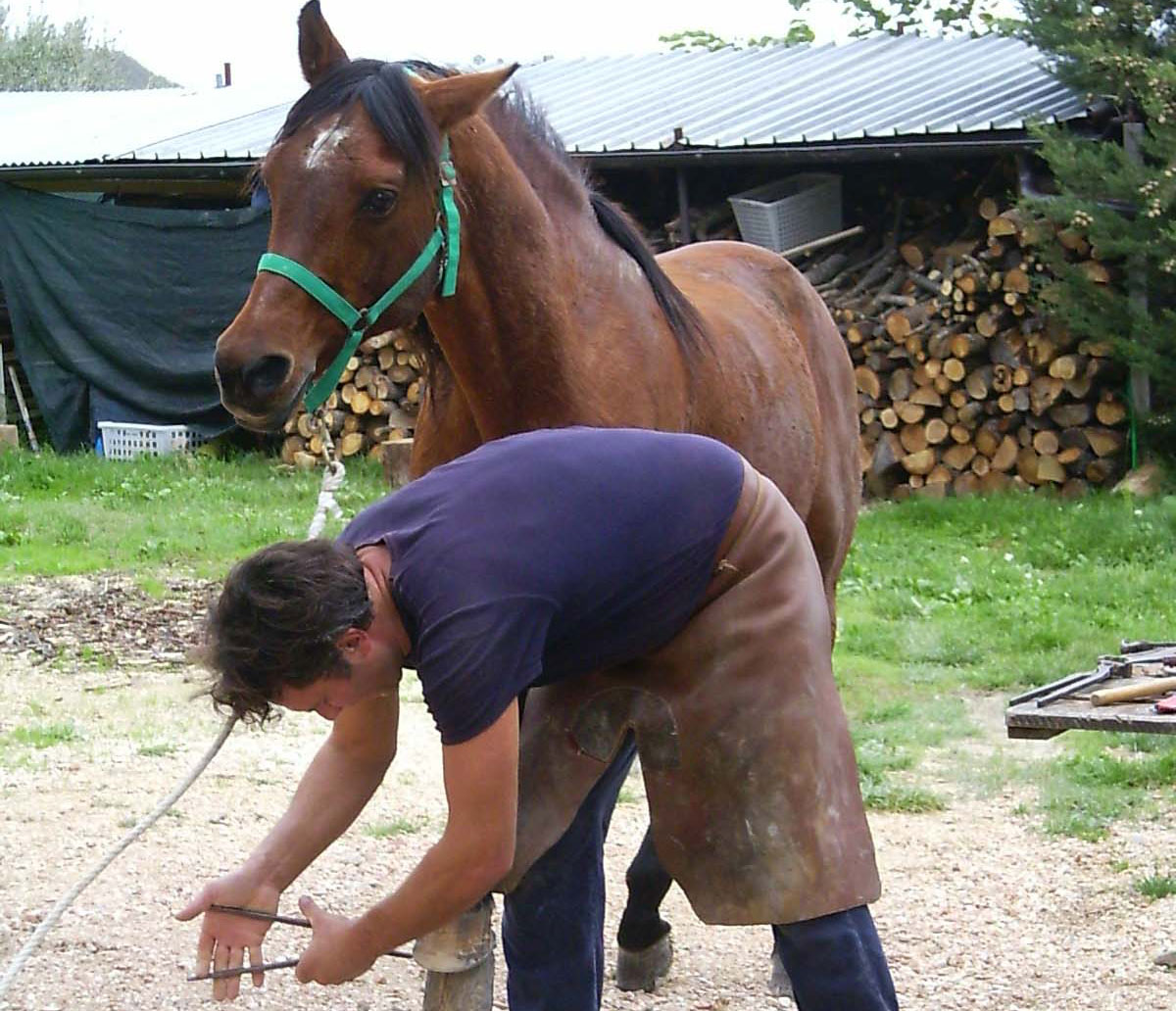 ferratura del cavallo