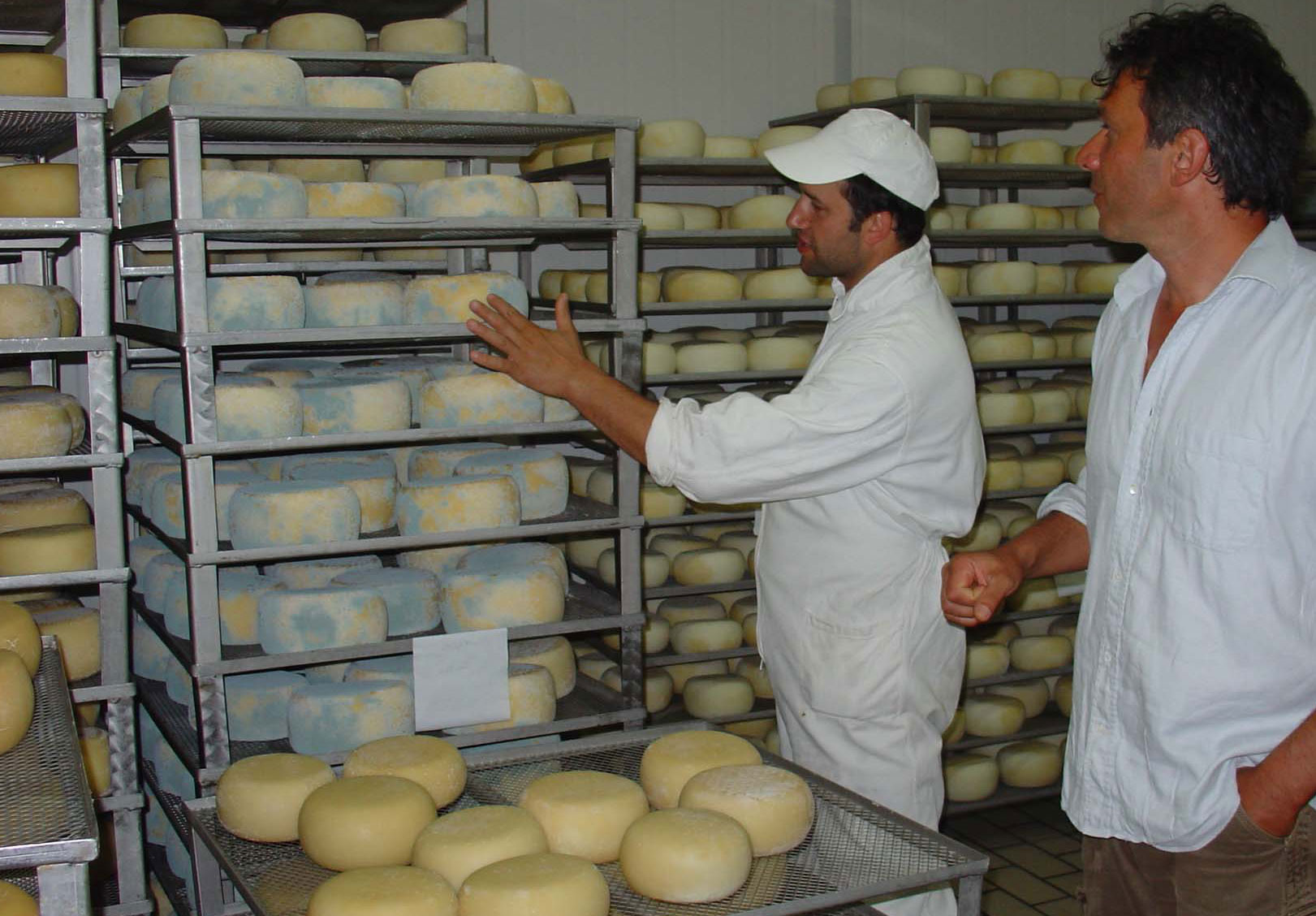 Cooking classes with visit to local pecorino cheesemakers in Marche Italy