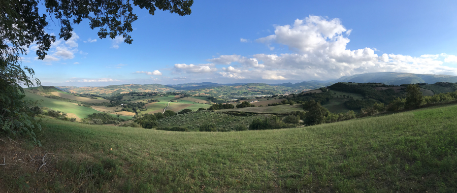 the Property has a beautiful view and gardens, in Marche Italy