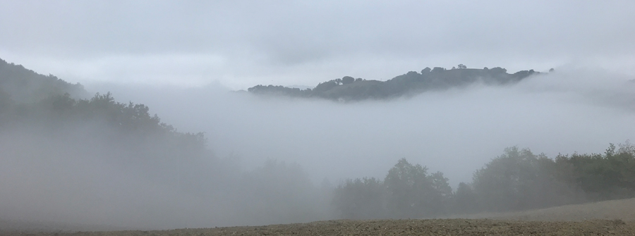 nebbia sulla valle