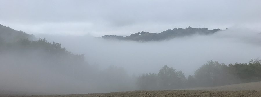 Marche landscape