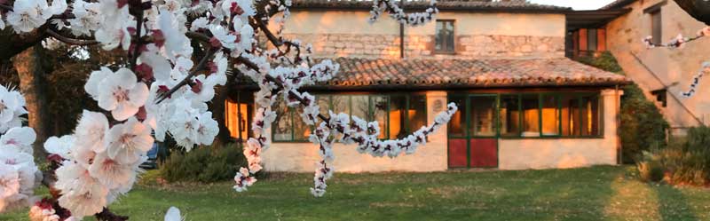 Agriturismo nelle Marche immerso nel verde