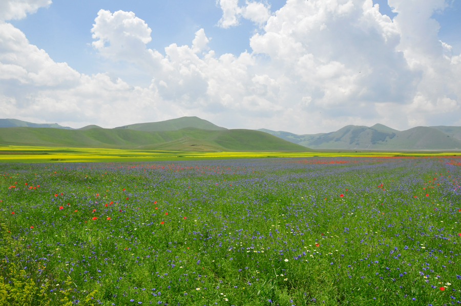 The Sibillini Mountains Natural Park