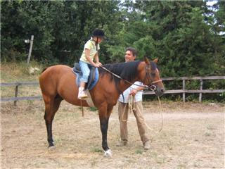 Summer holiday in Marche