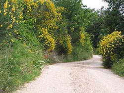 Caravanserraglio � in cima a una collina circondata dai boschi nel Parco Nazionale dei Monti Sibillini