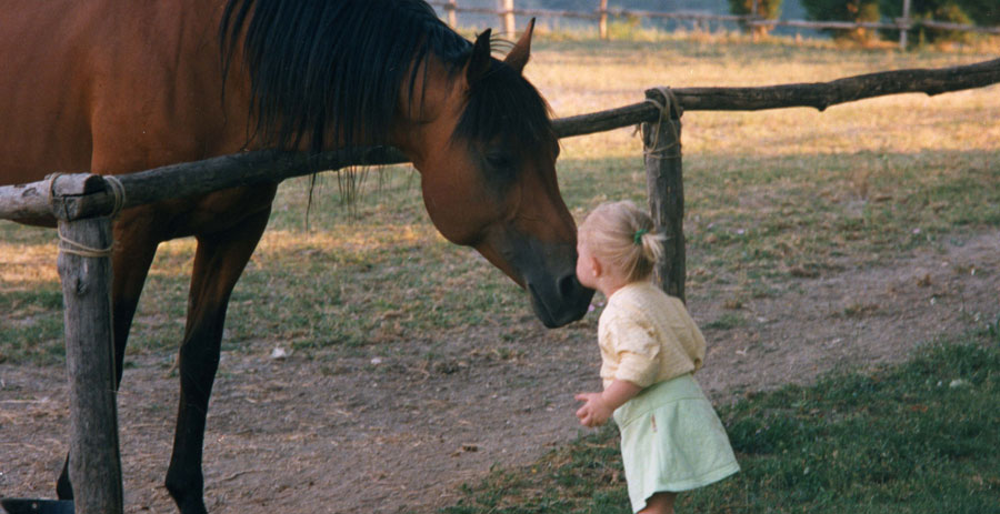 Children Activities Marche, Italy