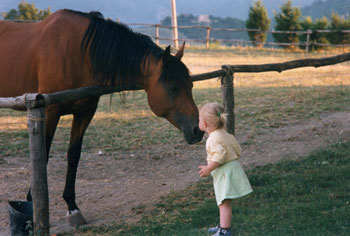 un bacio al cavallo