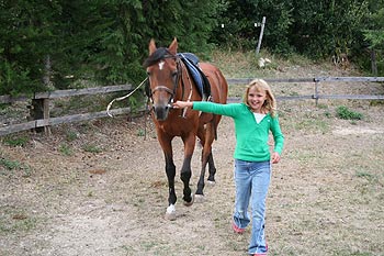 introduction to the world of horses