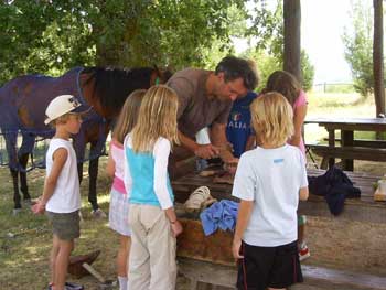 'workshop' new horse-shoes for the horse